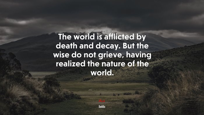 The world is afflicted by death and decay. But the wise do not grieve, having realized the nature of the world. | Buddha quote