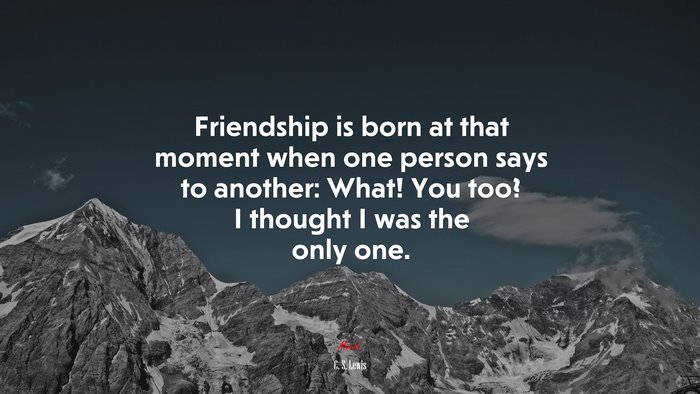 Friendship is born at that moment when one person says to another: What! You too? I thought I was the only one. | C. S. Lewis quote