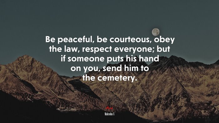 Be peaceful, be courteous, obey the law, respect everyone; but if someone puts his hand on you, send him to the cemetery. | Malcolm X quote