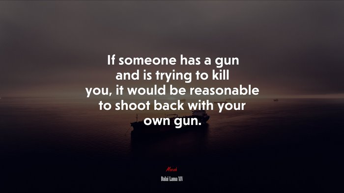If someone has a gun and is trying to kill you, it would be reasonable to shoot back with your own gun. | Dalai Lama XIV quote