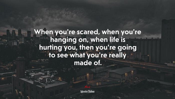 When youre scared, when youre hanging on, when life is hurting you, then youre going to see what youre really made of. | Sylvester Stallone quote