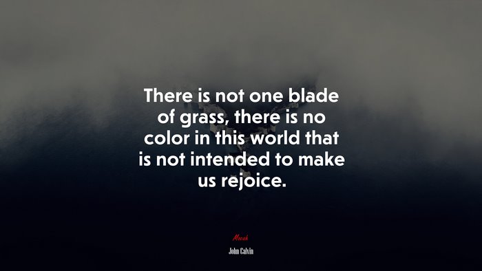 There is not one blade of grass, there is no color in this world that is not intended to make us rejoice. | John Calvin quote