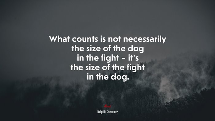 What counts is not necessarily the size of the dog in the fight – it’s the size of the fight in the dog. | Dwight D. Eisenhower quote