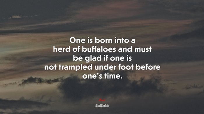 One is born into a herd of buffaloes and must be glad if one is not trampled under foot before one’s time. | Albert Einstein quote