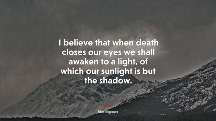 I believe that when death closes our eyes we shall awaken to a light, of which our sunlight is but the shadow. | Arthur Schopenhauer quote