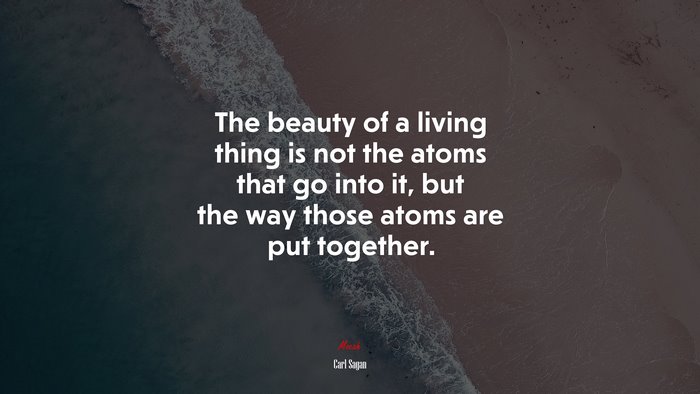 The beauty of a living thing is not the atoms that go into it, but the way those atoms are put together. | Carl Sagan quote