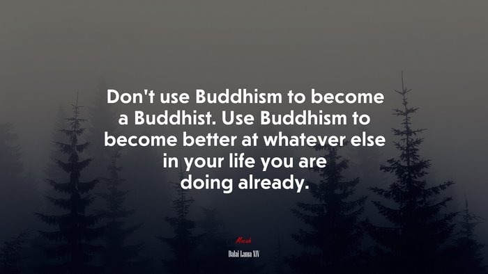 Don’t use Buddhism to become a Buddhist. Use Buddhism to become better at whatever else in your life you are doing already. | Dalai Lama XIV quote