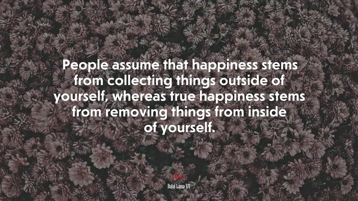 People assume that happiness stems from collecting things outside of yourself, whereas true happiness stems from removing things from inside of yourself. | Dalai Lama XIV quote