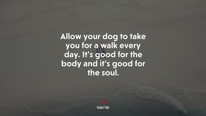 Allow your dog to take you for a walk every day. It’s good for the body and it’s good for the soul. | Eckhart Tolle quote