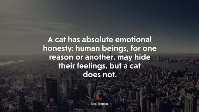 A cat has absolute emotional honesty: human beings, for one reason or another, may hide their feelings, but a cat does not. | Ernest Hemingway quote