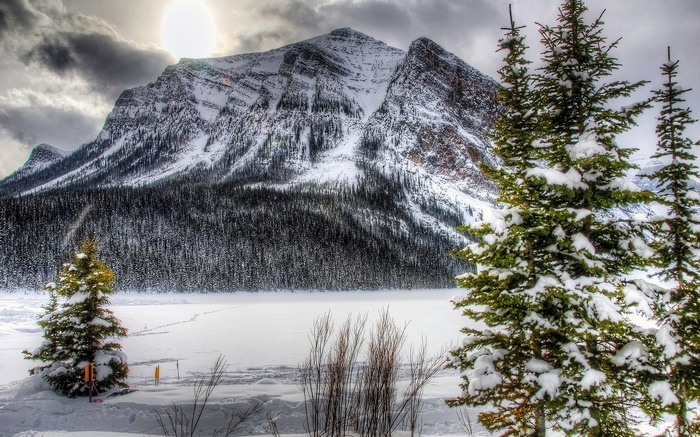 Snowy Mountain Landscape with Pine Trees and Frozen Lake