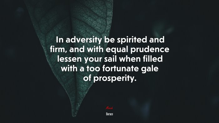 In adversity be spirited and firm, and with equal prudence lessen your sail when filled with a too fortunate gale of prosperity. | Horace quote