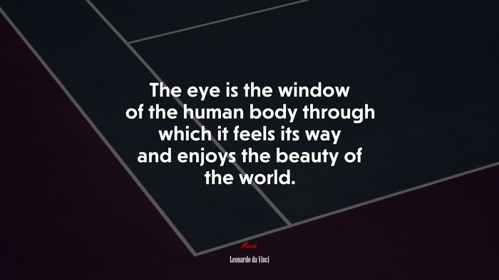 The eye is the window of the human body through which it feels its way and enjoys the beauty of the world. | Leonardo da Vinci quote