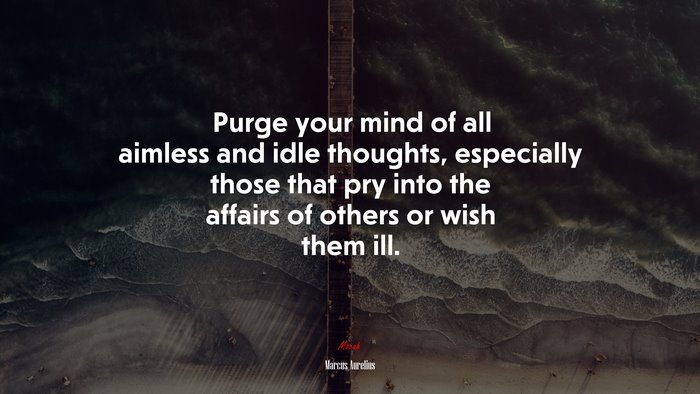 Purge your mind of all aimless and idle thoughts, especially those that pry into the affairs of others or wish them ill. | Marcus Aurelius quote