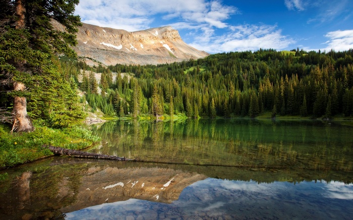 Mountain lake with evergreen forest and reflection