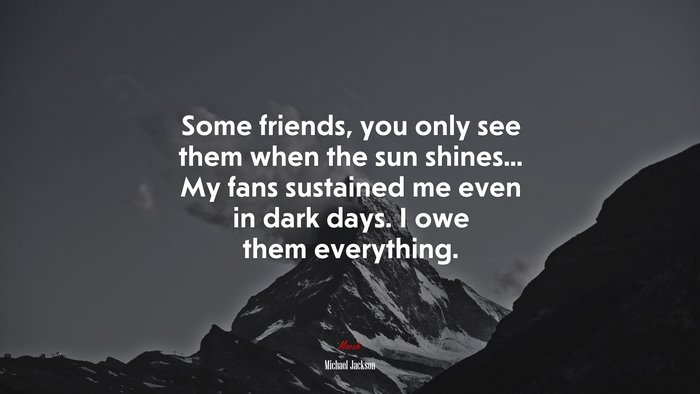 Some friends, you only see them when the sun shines... My fans sustained me even in dark days. I owe them everything. | Michael Jackson quote