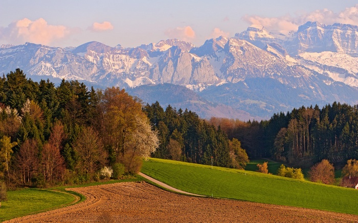 Snow-capped mountains and rolling hills with trees