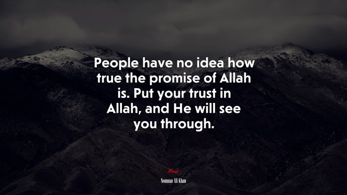People have no idea how true the promise of Allah is. Put your trust in Allah, and He will see you through. | Nouman Ali Khan quote