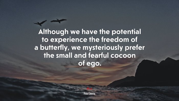 Although we have the potential to experience the freedom of a butterfly, we mysteriously prefer the small and fearful cocoon of ego. | Pema Chödrön quote