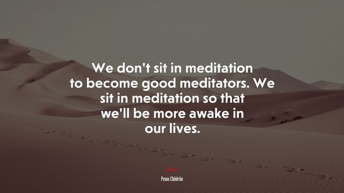 We don’t sit in meditation to become good meditators. We sit in meditation so that we’ll be more awake in our lives. | Pema Chödrön quote