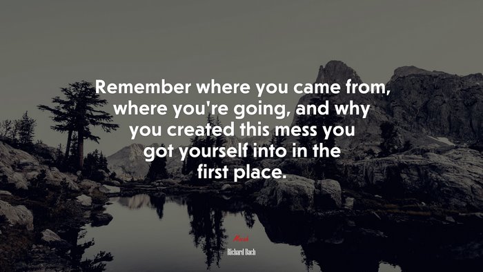 Remember where you came from, where you’re going, and why you created this mess you got yourself into in the first place. | Richard Bach quote