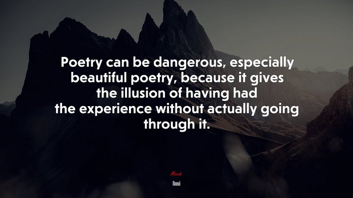 Poetry can be dangerous, especially beautiful poetry, because it gives the illusion of having had the experience without actually going through it. | Rumi quote