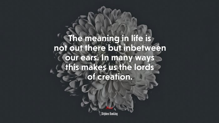 The meaning in life is not out there but inbetween our ears. In many ways this makes us the lords of creation. | Stephen Hawking quote