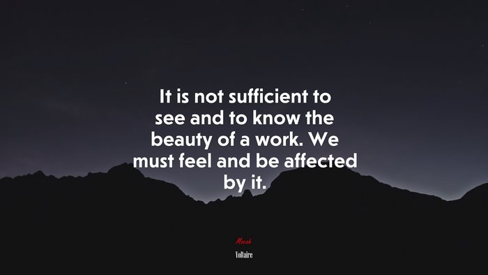It is not sufficient to see and to know the beauty of a work. We must feel and be affected by it. | Voltaire quote