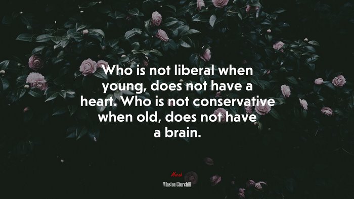 Who is not liberal when young, does not have a heart. Who is not conservative when old, does not have a brain. | Winston Churchill quote