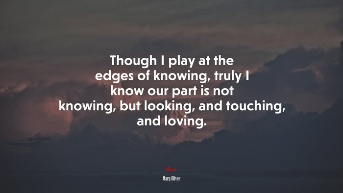 Though I play at the edges of knowing, truly I know our part is not knowing, but looking, and touching, and loving. | Mary Oliver quote