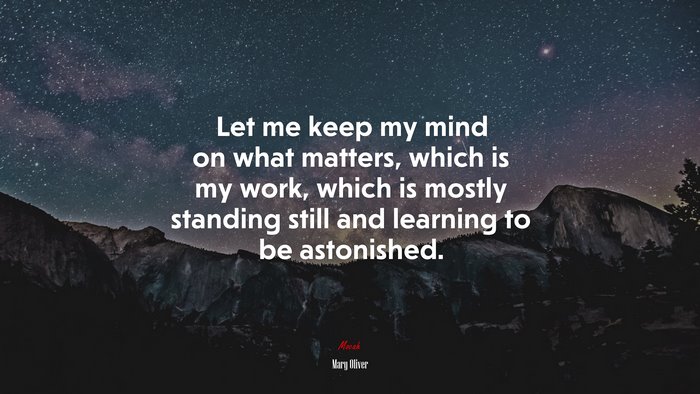 Let me keep my mind on what matters, which is my work, which is mostly standing still and learning to be astonished. | Mary Oliver quote