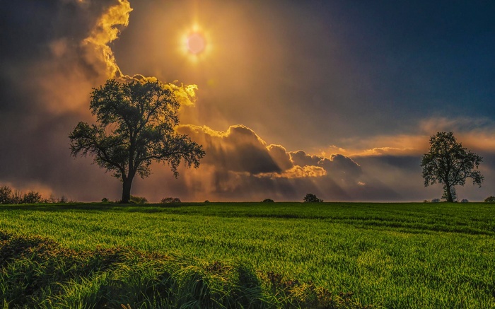 Sunbeams through clouds over a grassy field with trees