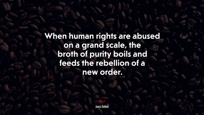 When human rights are abused on a grand scale, the broth of purity boils and feeds the rebellion of a new order. | James Baldwin quote