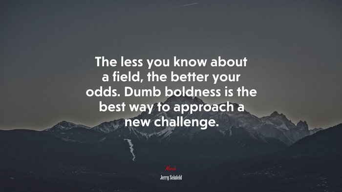 The less you know about a field, the better your odds. Dumb boldness is the best way to approach a new challenge. | Jerry Seinfeld quote