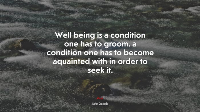 Well being is a condition one has to groom, a condition one has to become aquainted with in order to seek it. | Carlos Castaneda quote