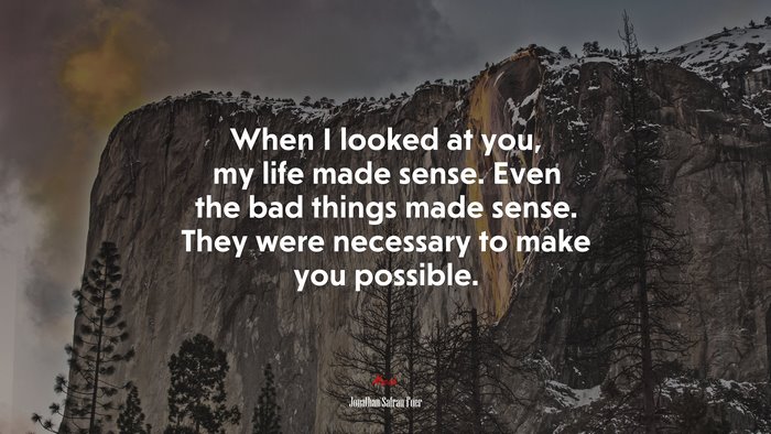 When I looked at you, my life made sense. Even the bad things made sense. They were necessary to make you possible. | Jonathan Safran Foer quote