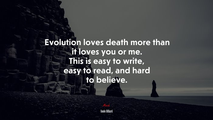 Evolution loves death more than it loves you or me. This is easy to write, easy to read, and hard to believe. | Annie Dillard quote