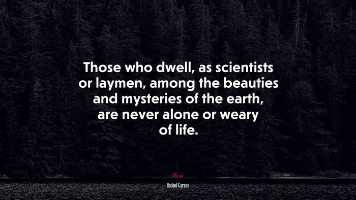 Those who dwell, as scientists or laymen, among the beauties and mysteries of the earth, are never alone or weary of life. | Rachel Carson quote