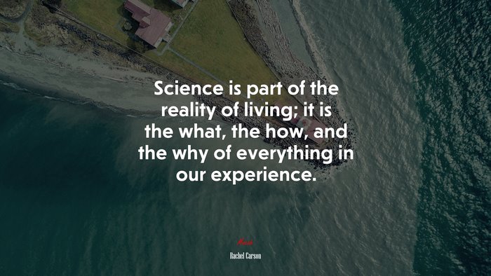 Science is part of the reality of living; it is the what, the how, and the why of everything in our experience. | Rachel Carson quote