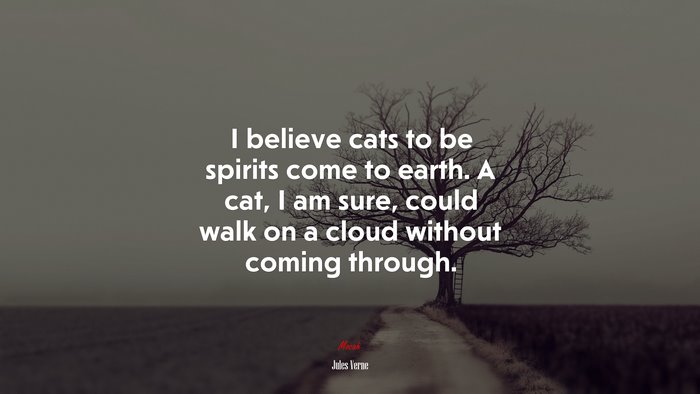 I believe cats to be spirits come to earth. A cat, I am sure, could walk on a cloud without coming through. | Jules Verne quote