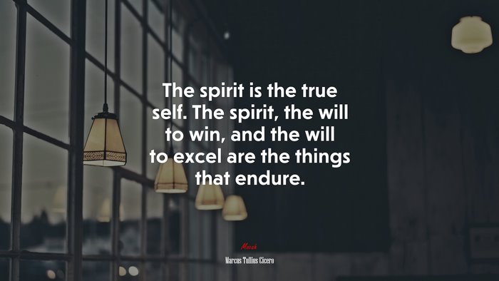 The spirit is the true self. The spirit, the will to win, and the will to excel are the things that endure. | Marcus Tullius Cicero quote