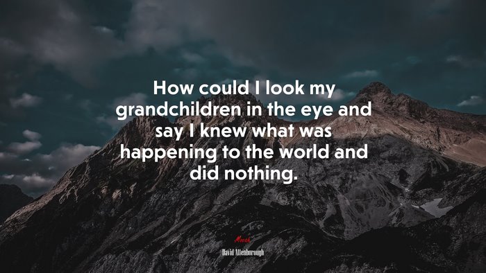 How could I look my grandchildren in the eye and say I knew what was happening to the world and did nothing. | David Attenborough quote
