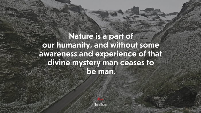 Nature is a part of our humanity, and without some awareness and experience of that divine mystery man ceases to be man. | Henry Beston quote