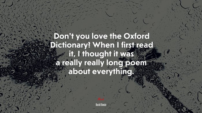 Don’t you love the Oxford Dictionary? When I first read it, I thought it was a really really long poem about everything. | David Bowie quote