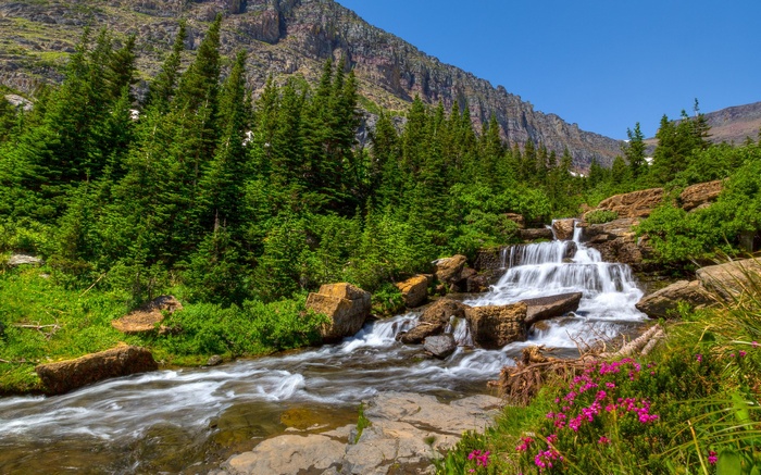 Waterfall flowing through a forest with mountains