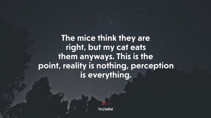 The mice think they are right, but my cat eats them anyways. This is the point, reality is nothing, perception is everything. | Terry Goodkind quote