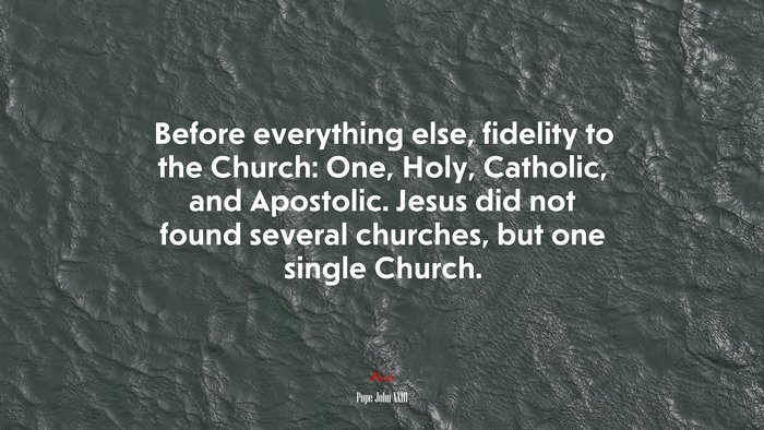 Before everything else, fidelity to the Church: One, Holy, Catholic, and Apostolic. Jesus did not found several churches, but one single Church. | Pope John XXIII quote