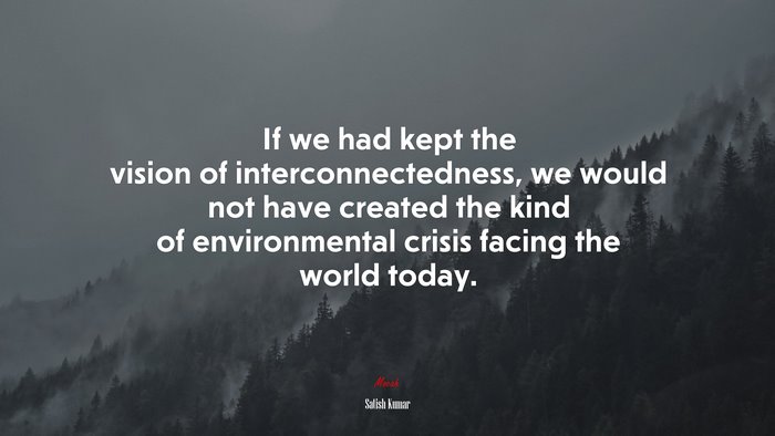 If we had kept the vision of interconnectedness, we would not have created the kind of environmental crisis facing the world today. | Satish Kumar quote