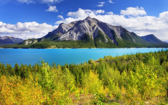 Turquoise lake and mountains with trees