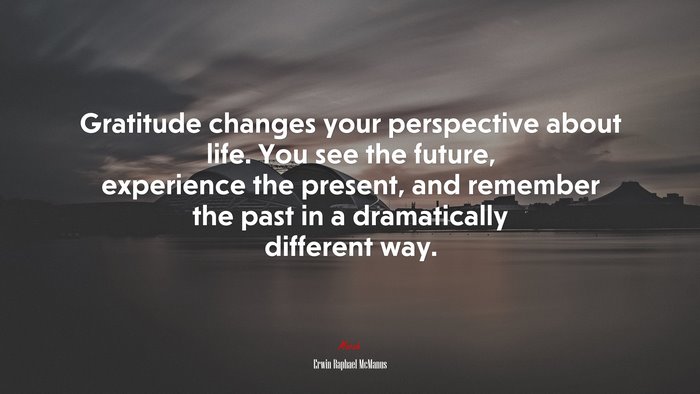 Gratitude changes your perspective about life. You see the future, experience the present, and remember the past in a dramatically different way. | Erwin Raphael McManus quote